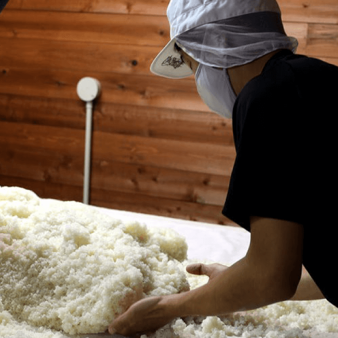 麹の力を徹底研究